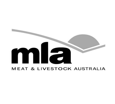 MLA